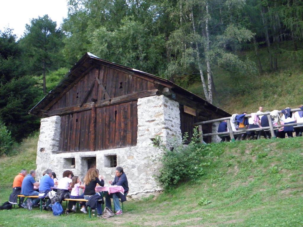 Chalet Alpenrose Bio Wellness Naturhotel Cogolo Eksteriør bilde