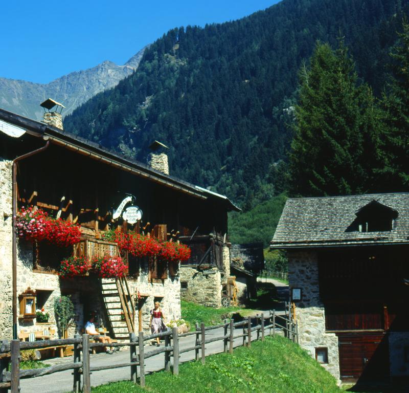 Chalet Alpenrose Bio Wellness Naturhotel Cogolo Eksteriør bilde